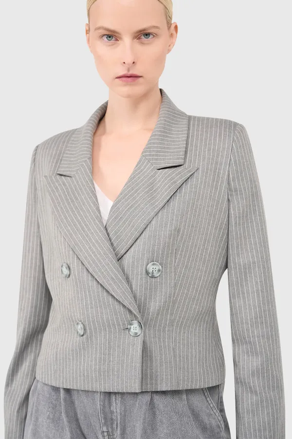 Stan Blazer Gray Stripe