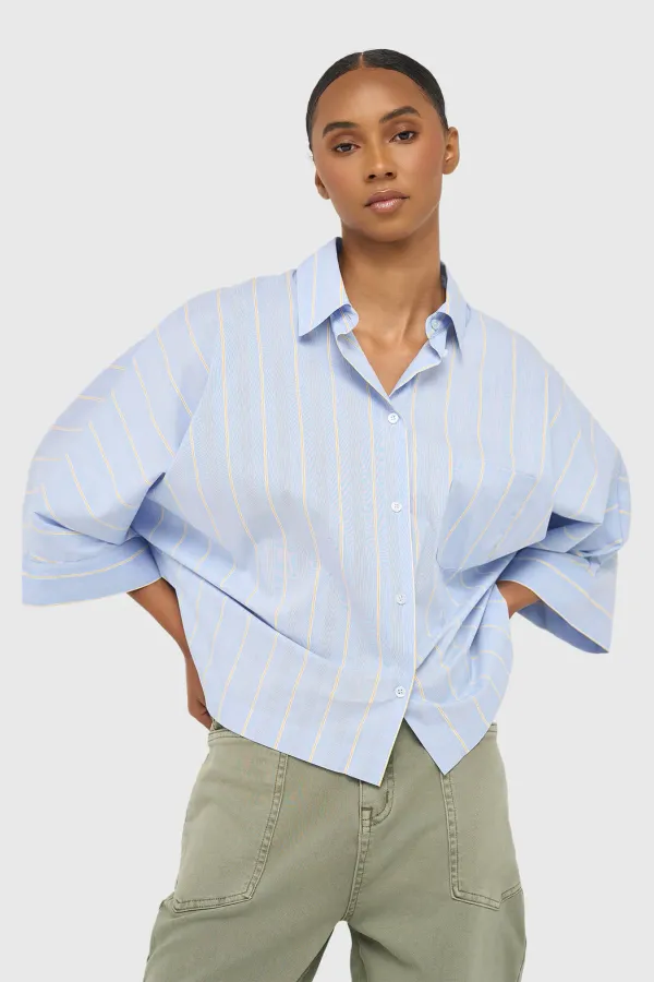Women's Striped Blue Blouse by Carl