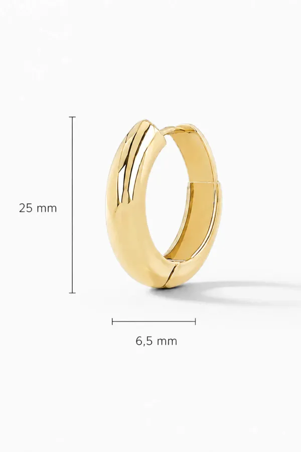 gouden oorbellen hoops creolen aspen large