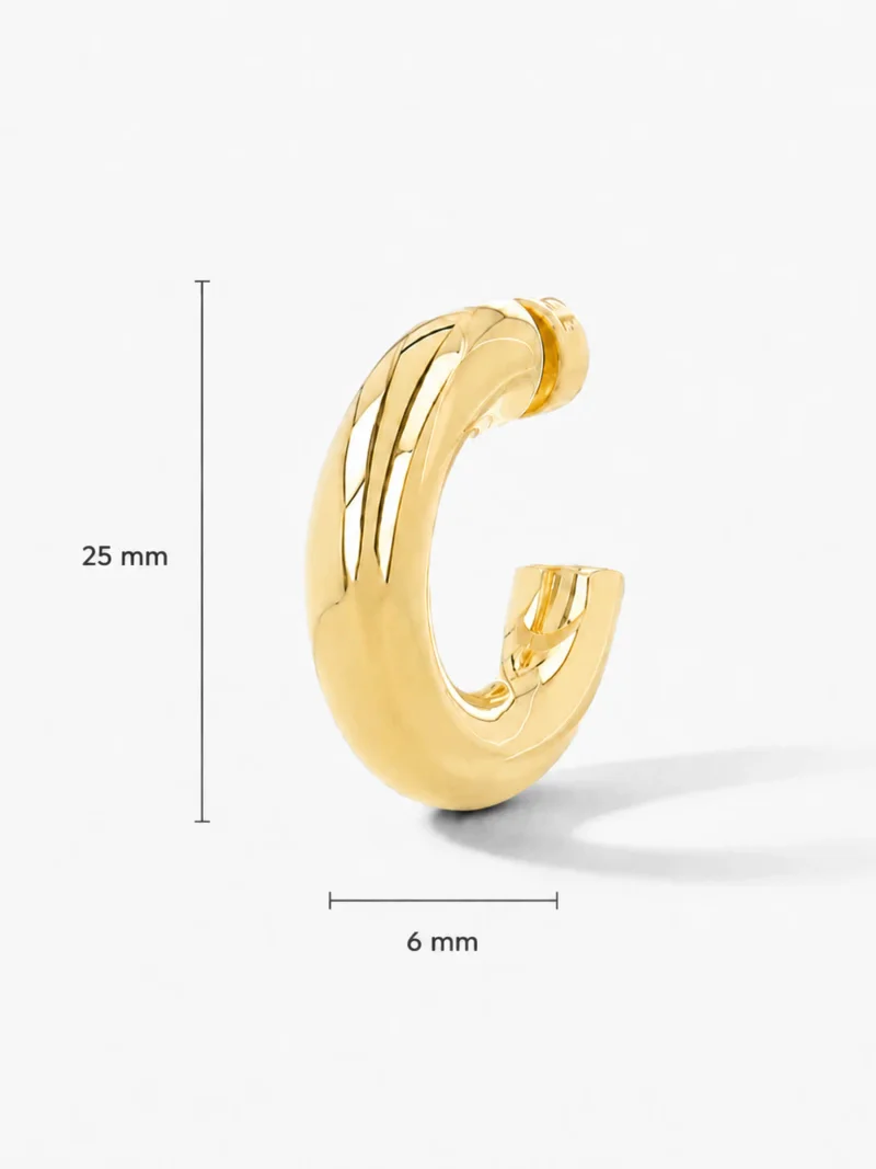 Gouden Oorbellen Creolen Creolen Hoops Chandler Medium