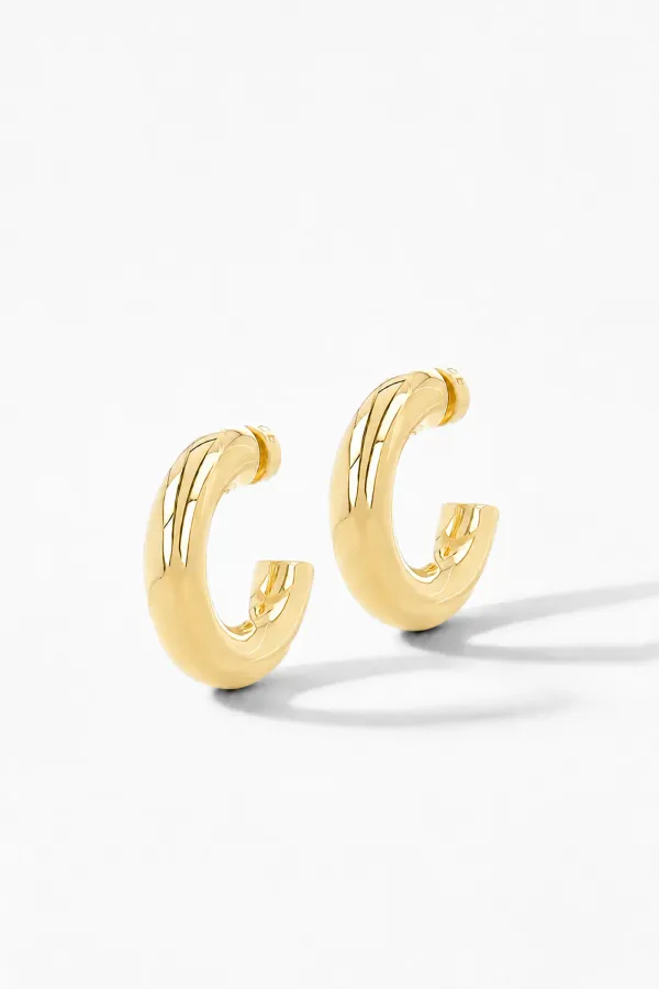 Gouden Oorbellen Creolen Creolen Hoops Chandler Small