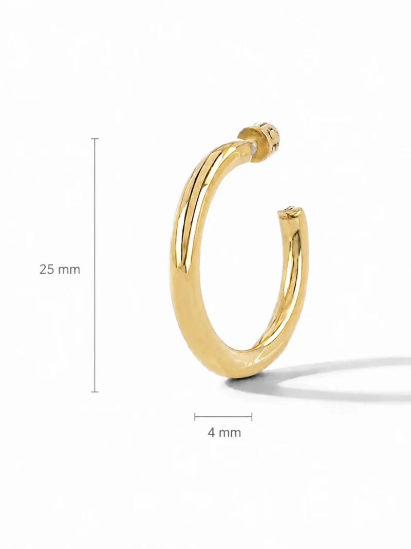 Gouden Oorbellen Hoops Creolen Harlem Medium