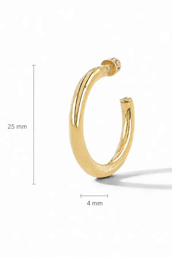 Gouden Oorbellen Hoops Creolen Harlem Medium