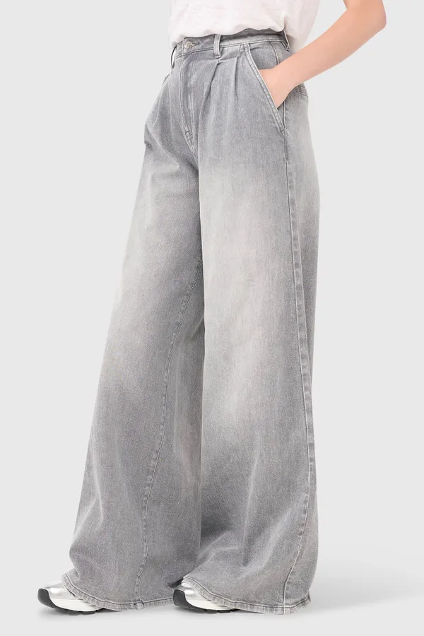 Dollar Jeans Grijs 110